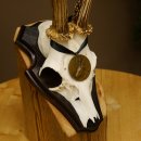 Rehgeweih Medaillenklasse Bronze 365 g CIC 106,55 IP HL bis 24,1 cm Bock Reh Geweih Gehörn Schild