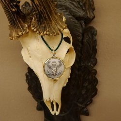 Rehgeweih Medaillenklasse Bronze 465 g CIC 108,55 IP HL bis 23,2 cm kapitaler Bock Reh Geweih Gehörn Schild