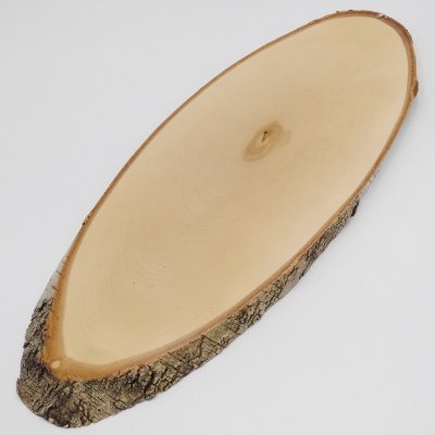 Birke Rothirsch AF 60 cm Hirsch Schild Trophäenschild Geweih Baumscheibe Baumschild Natur Holz modern