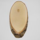 Birke Rothirsch AF 60 cm Hirsch Schild Trophäenschild Geweih Baumscheibe Baumschild Natur Holz modern