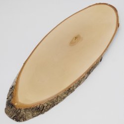 Birke Rothirsch AF 60 cm Hirsch Schild Trophäenschild Geweih Baumscheibe Baumschild Natur Holz modern