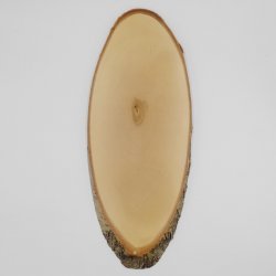 Birke Rothirsch AF 60 cm Hirsch Schild Trophäenschild Geweih Baumscheibe Baumschild Natur Holz modern