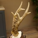 Rehgeweih Medaillenklasse Bronze 375 g CIC 111,8 IP HL bis 26,3 cm kapitaler Bock Reh Geweih Gehörn Schild