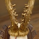 Rehgeweih Medaillenklasse Bronze 375 g CIC 111,8 IP HL bis 26,3 cm kapitaler Bock Reh Geweih Gehörn Schild