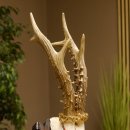 Rehgeweih Medaillenklasse Bronze 375 g CIC 111,8 IP HL bis 26,3 cm kapitaler Bock Reh Geweih Gehörn Schild