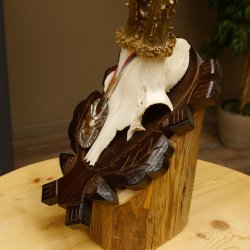 Rehgeweih Medaillenklasse Bronze 375 g CIC 111,8 IP HL bis 26,3 cm kapitaler Bock Reh Geweih Gehörn Schild