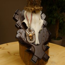 Rehgeweih Medaillenklasse Bronze 375 g CIC 111,8 IP HL bis 26,3 cm kapitaler Bock Reh Geweih Gehörn Schild