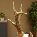 Rehgeweih Medaillenklasse Bronze 385 g CIC 113,63 IP HL bis 25,5 cm kapitaler Bock Reh Geweih Gehörn Schild