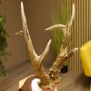 Rehgeweih Medaillenklasse Bronze 385 g CIC 113,63 IP HL bis 25,5 cm kapitaler Bock Reh Geweih Gehörn Schild