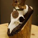 Rehgeweih Medaillenklasse Bronze 395 g CIC 113,95 IP HL bis 24,1 cm kapitaler Bock Reh Geweih Gehörn Schild