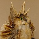 Wolpertinger Wolpi Bisam Präparat mit Stock...