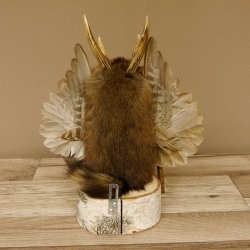 Wolpertinger Wolpi Bisam Präparat mit Stock Rehgeweih hellgrüne Augen Fabelwesen 86.4.137