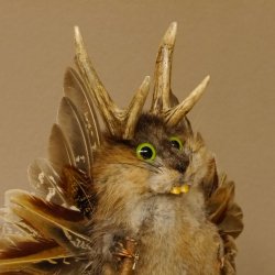 Wolpertinger Wolpi Bisam Präparat mit Stock Rehgeweih hellgrüne Augen Fabelwesen 86.4.137