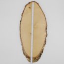 Birke Rothirsch AF 51 cm Hirsch Schild Trophäenschild Geweih Baumscheibe Baumschild Natur Holz modern