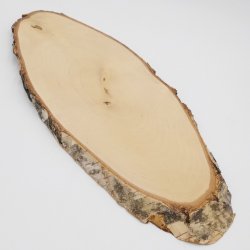 Birke Rothirsch AF 51 cm Hirsch Schild Trophäenschild Geweih Baumscheibe Baumschild Natur Holz modern