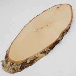 Birke Rothirsch AF 51 cm Hirsch Schild Trophäenschild Geweih Baumscheibe Baumschild Natur Holz modern