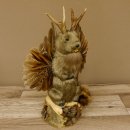 Wolpertinger Murmel Präparat Plüsch mit Bart hellbraune Augen Fabelwesen mit Flügel und Geweih Wolpi 86.16.42
