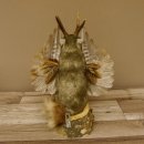 Wolpertinger Murmel Präparat Plüsch mit Bart hellbraune Augen Fabelwesen mit Flügel und Geweih Wolpi 86.16.42