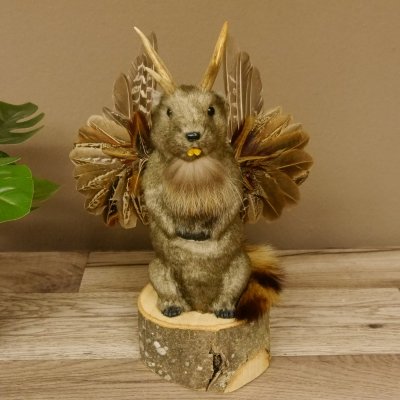 Wolpertinger Murmel Präparat Plüsch mit Bart hellbraune Augen Fabelwesen mit Flügel und Geweih Wolpi 86.16.44