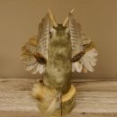Wolpertinger Murmel Präparat Plüsch mit Bart hellbraune Augen Fabelwesen mit Flügel und Geweih Wolpi 86.16.44