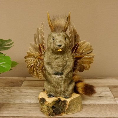 Wolpertinger Murmel Präparat Plüsch mit Punkfrisur Fabelwesen mit Flügel und Geweih Wolpi 86.16.45