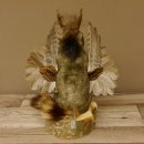 Wolpertinger Murmel Präparat Plüsch mit Punkfrisur Fabelwesen mit Flügel und Geweih Wolpi 86.16.45