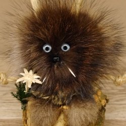 Wolpertinger Wolpi Präparat Mini auf Holz Edelweiss und hellblaue Augen Höhe 22 cm 86.1.3.47