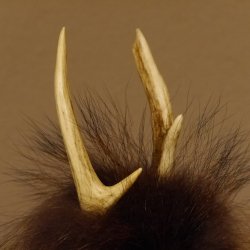 Wolpertinger Wolpi Präparat Mini auf Holz Edelweiss und weiße Augen Höhe 22 cm 86.1.3.50