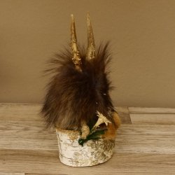 Wolpertinger Wolpi Präparat Mini auf Holz Edelweiss und dunkelblaue Augen Höhe 24 cm 86.1.3.51