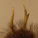 Wolpertinger Wolpi Präparat Mini auf Holz Edelweiss und helle Augen Höhe 24 cm 86.1.3.52