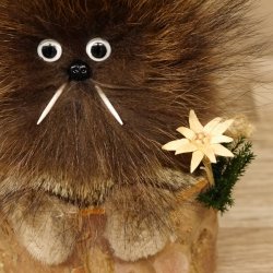 Wolpertinger Wolpi Präparat Mini auf Holz Edelweiss und helle Augen Höhe 24 cm 86.1.3.52