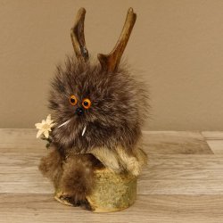 Wolpertinger Wolpi Präparat Mini auf Holz Edelweiss und orange Augen Höhe 22 cm 86.1.3.48