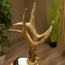 Rehgeweih Medaillenklasse Silber 413 g CIC 117,37 IP HL bis 24,5 cm hochkapitaler Bock Reh Geweih Gehörn Schild