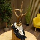 Rehgeweih Medaillenklasse Silber 413 g CIC 117,37 IP HL bis 24,5 cm hochkapitaler Bock Reh Geweih Gehörn Schild