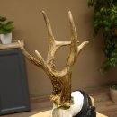 Rehgeweih Medaillenklasse Silber 413 g CIC 117,37 IP HL bis 24,5 cm hochkapitaler Bock Reh Geweih Gehörn Schild