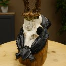 Rehgeweih Medaillenklasse Silber 413 g CIC 117,37 IP HL bis 24,5 cm hochkapitaler Bock Reh Geweih Gehörn Schild