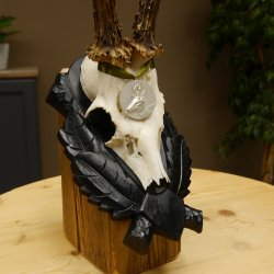 Rehgeweih Medaillenklasse Silber 413 g CIC 117,37 IP HL bis 24,5 cm hochkapitaler Bock Reh Geweih Gehörn Schild