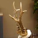 Rehgeweih Medaillenklasse Silber 400 g CIC 117,53 IP HL bis 24,5 cm hochkapitaler Bock Reh Geweih Gehörn Schild