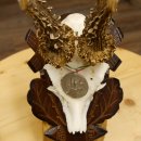 Rehgeweih Medaillenklasse Silber 400 g CIC 117,53 IP HL bis 24,5 cm hochkapitaler Bock Reh Geweih Gehörn Schild