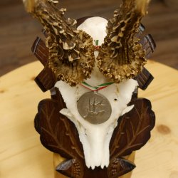 Rehgeweih Medaillenklasse Silber 400 g CIC 117,53 IP HL bis 24,5 cm hochkapitaler Bock Reh Geweih Gehörn Schild