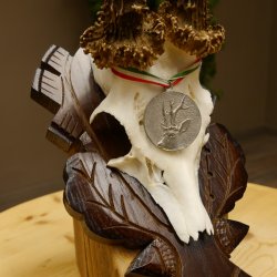 Rehgeweih Medaillenklasse Silber 400 g CIC 117,53 IP HL bis 24,5 cm hochkapitaler Bock Reh Geweih Gehörn Schild