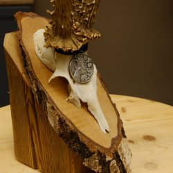 Rehgeweih Medaillenklasse Silber 385 g CIC 119,95 IP HL bis 27,5 cm hochkapitaler Bock Reh Geweih Gehörn Schild