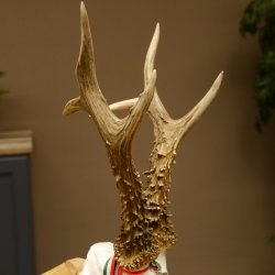 Rehgeweih Medaillenklasse Silber 514 g CIC 124,19 IP HL bis 26,2 cm hochkapitaler Bock Reh Geweih Gehörn