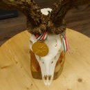 Rehgeweih Medaillenklasse Gold 524 g CIC 131,41 IP HL bis 25,5 cm hochkapitaler Bock Reh Geweih Gehörn