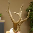 Rehgeweih Medaillenklasse Gold 524 g CIC 131,41 IP HL bis 25,5 cm hochkapitaler Bock Reh Geweih Gehörn