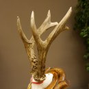 Rehgeweih Medaillenklasse Gold 520 g CIC 143,65 IP HL bis 28,3 cm hochkapitaler Bock Reh Geweih Gehörn