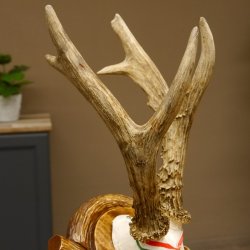 Rehgeweih Medaillenklasse Gold 520 g CIC 143,65 IP HL bis 28,3 cm hochkapitaler Bock Reh Geweih Gehörn