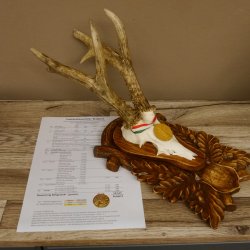 Rehgeweih Medaillenklasse Gold 520 g CIC 143,65 IP HL bis 28,3 cm hochkapitaler Bock Reh Geweih Gehörn