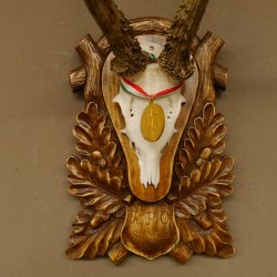 Rehgeweih Medaillenklasse Gold 520 g CIC 143,65 IP HL bis 28,3 cm hochkapitaler Bock Reh Geweih Gehörn