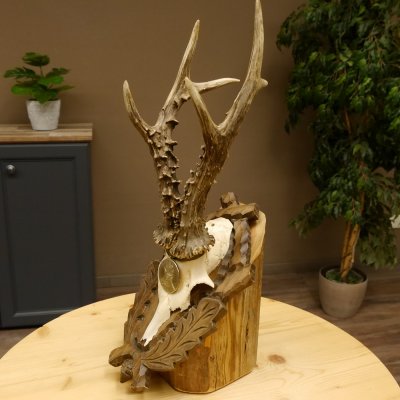 Rehgeweih Medaillenklasse Silber 400 g CIC 121,33 IP HL bis 27,1 cm hochkapitaler Bock Reh Geweih Gehörn Schild